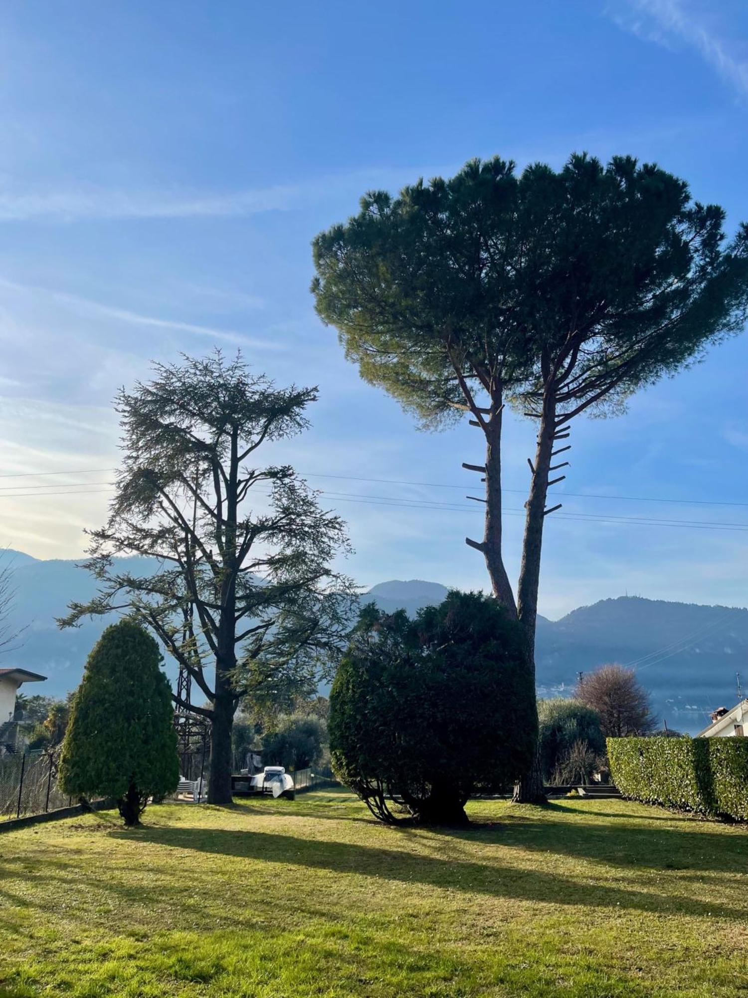Villa Rosi Lierna Exterior foto